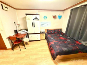 Spacious Studio Apt (Myeong-dong)